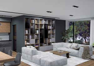 Bibliothèque séjour salon